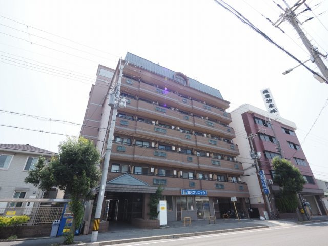 IVY FLAT