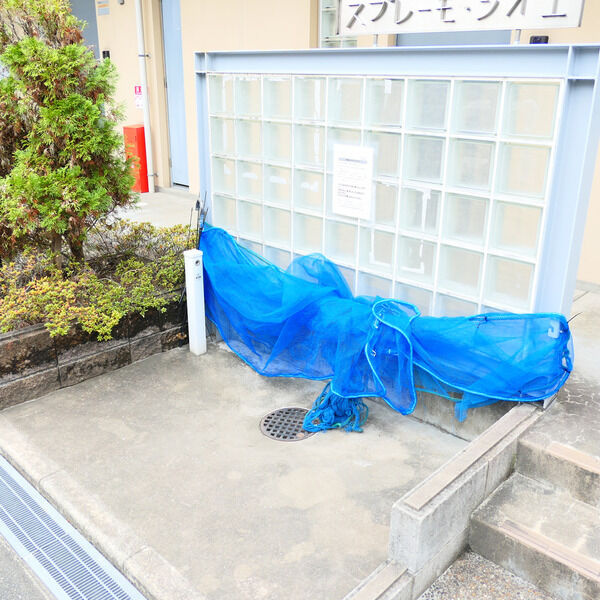 スプレーモ・シオエのその他