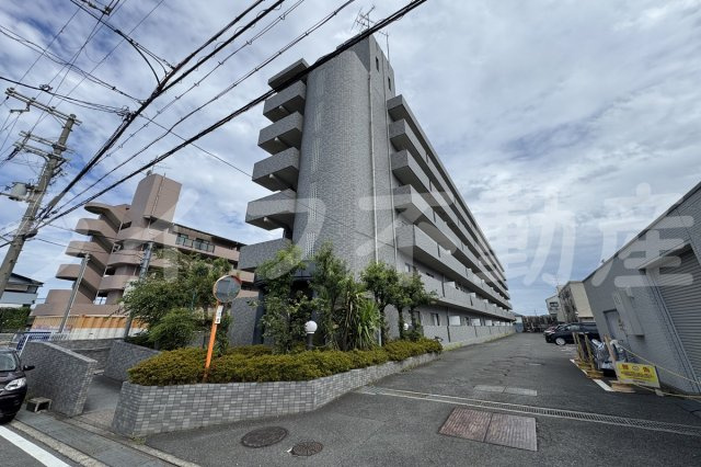 コンフォートグリーン