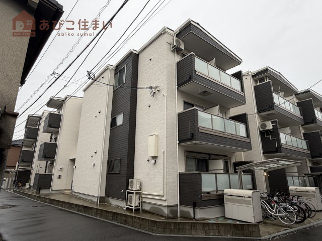 F asecia vagueの外観