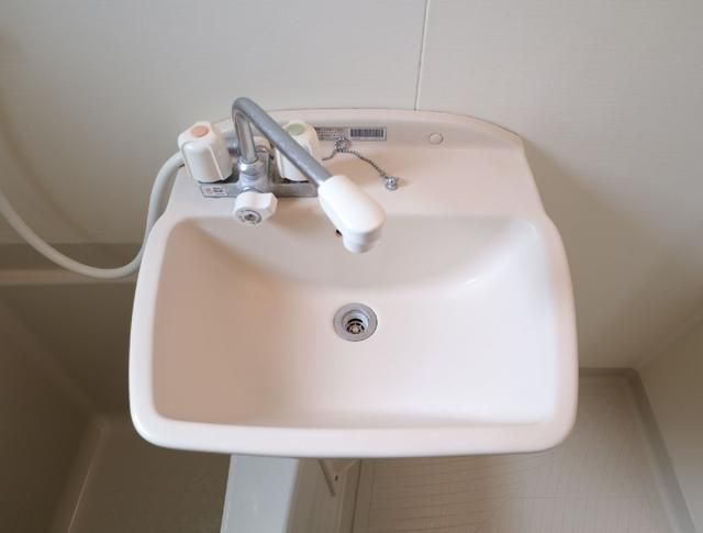 グランディール妙蓮寺の洗面所