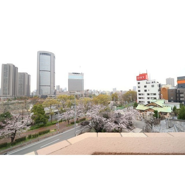 リッツ桜宮パークフロントの展望