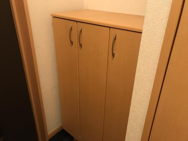 グリーンハイム新守山の収納|下駄箱