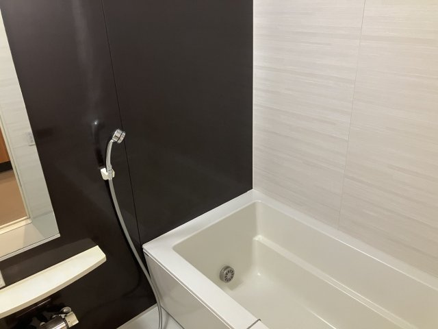 プライムメゾン南2条の浴室
