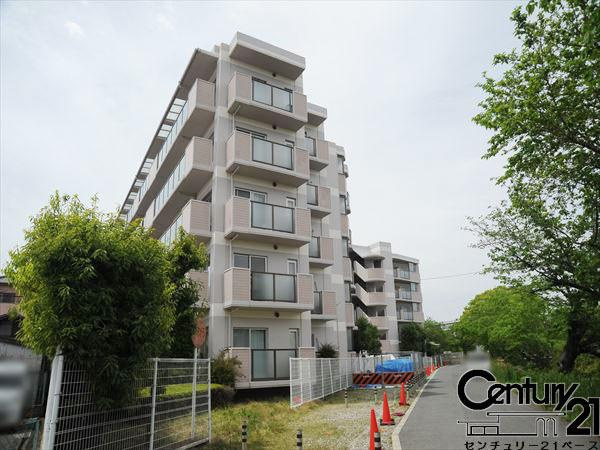 セレナ大和高田のその他|■現地撮影写真■お花見やお散歩コースにちょうど良い大中公園が近接！