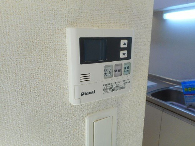 アルファ　カエリーのその他