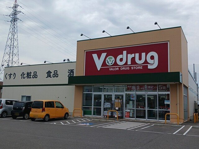 リヴァージュ　Ｋの周辺|Vドラッグ金津店まで1062m