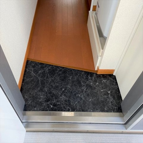 レオパレス南流山の玄関