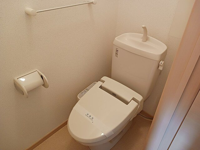 グラン・シャトレーⅢのトイレ