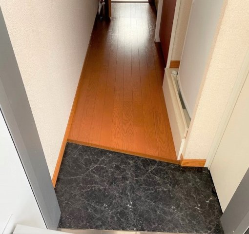 レオパレスルーチェの玄関