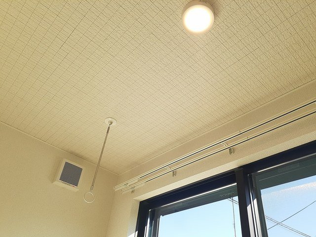 グレイスの内装