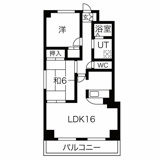 グランドール瑞天の画像