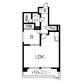 シャンブルナルカワの画像