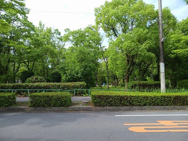ビーナスベルトの周辺|藤沢台公園まで1319m
