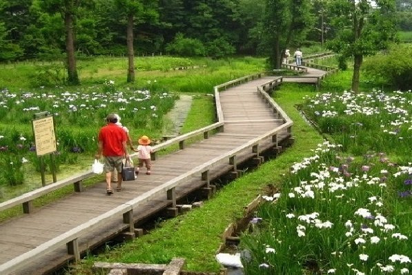 ガーデン深大寺　ＡＮＮＥＸの周辺|神代植物公園まで89m