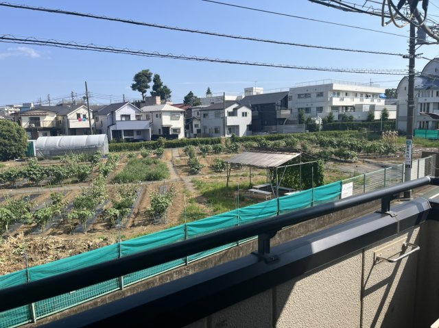 【展望】 | メゾンソレイユ