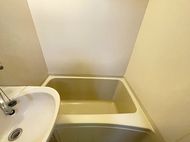 レオパレスツツミ28の浴室