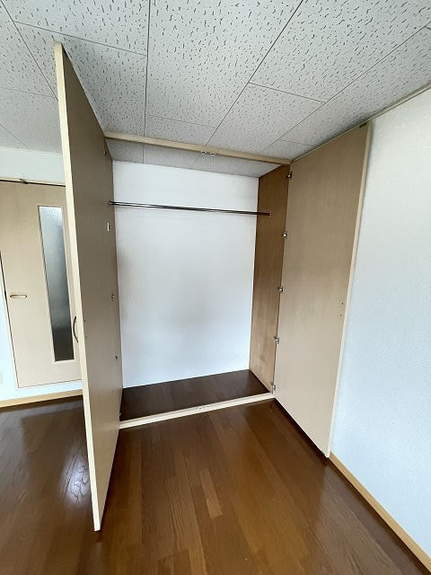レオパレスツツミ28の収納