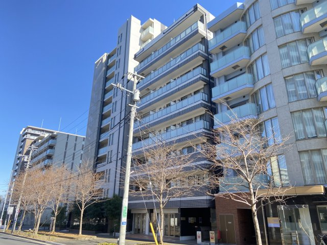 June Six ROSEのその他