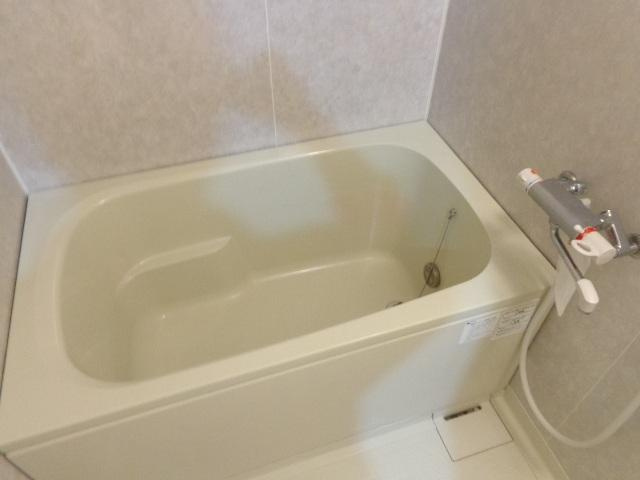 レディアントイワイダの浴室