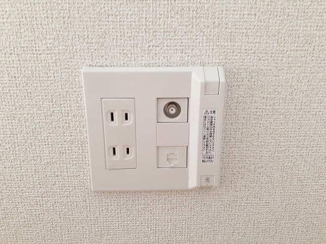 アルバ・プラシードＢのその他