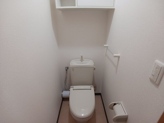 カーサイリーデのトイレ|落ち着いた色調のトイレです