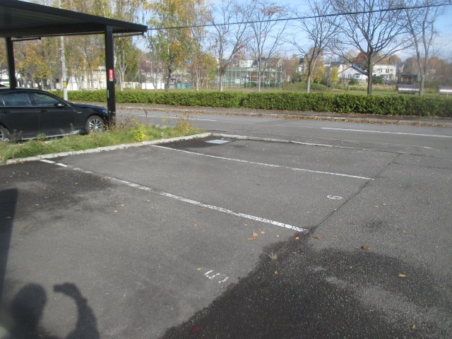 レオネクストマルコウのその他