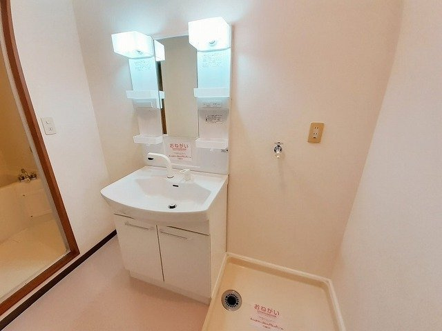 ロジュマン本城の洗面所