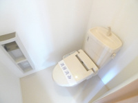 落ち着いた色調のトイレです