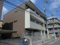 ノアの画像