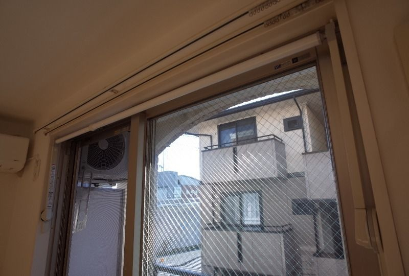 レキシントンのその他