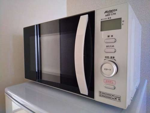 レオネクストフラッシュ新宿のその他|電子レンジ