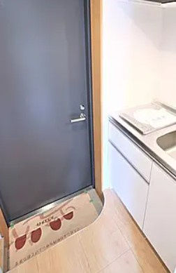 アスパイア新宿の玄関|※別部屋参考写真
