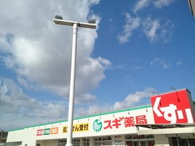 サウスフラワーⅠの周辺|スギ薬局様まで1000m