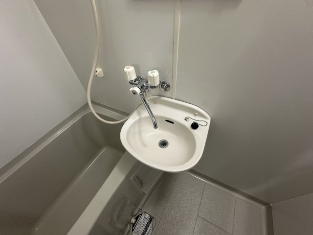 Ｄａｉｍｏｔｏ壱番館　Ａ棟の洗面所