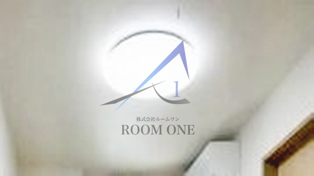 フィカーサ　ブランカのその他|照明です。