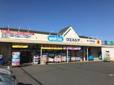 【その他】 | パークＹ・Ｋ