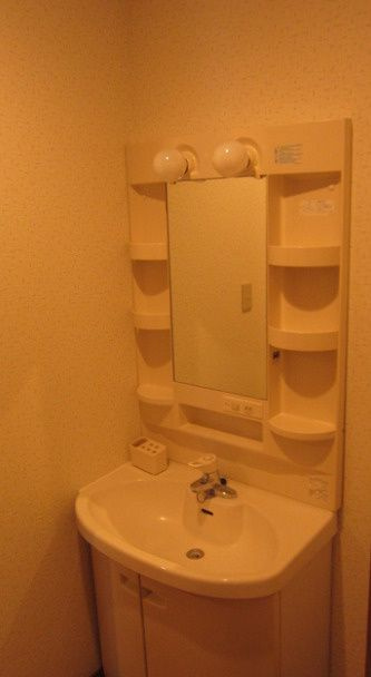福岡市南区柳河内２丁目のアパートの洗面所