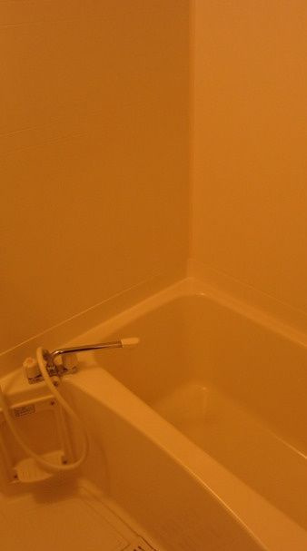 福岡市南区柳河内２丁目のアパートの浴室