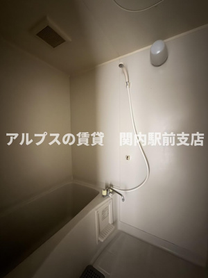 【その他】 | ビューラ⼭⼿