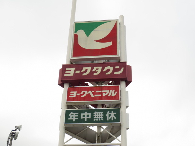 ピアチェーレのその他|ツルハドラッグあすと長町店