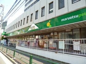 メゾン白樺中野坂上S棟のその他|マルエツプチ