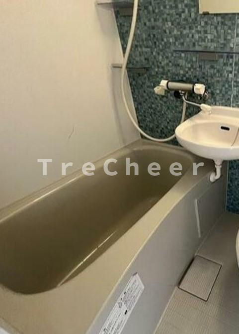 歌舞伎町ダイヤモンドパレスの浴室