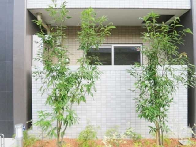 ヴィーヴェレ赤羽RESIDENCEのその他|植栽です☆