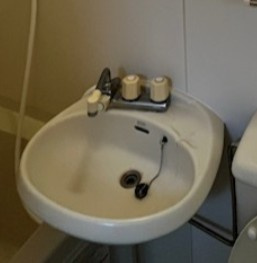 グレイスパレス の洗面所