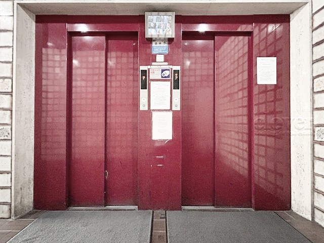 【設備】 | 歌舞伎町ダイヤモンドパレス | 無いと困ってしまう設備の筆頭がエレベーター。定期的なメンテナンスが必要な大型機械です。よく整備されていることをご確認ください。～即日のご見学可能～　お問合せはお気軽にどうぞ。