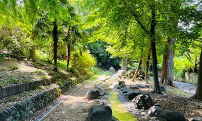 【周辺】 | 【現地見学会】杉並区大宮1丁目　宅地分譲　8490万円 | 和田堀公園