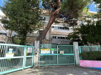 【周辺】 | 【現地見学会】杉並区大宮1丁目　宅地分譲　8990万円 | 杉並区立大宮小学校