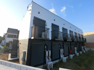 Rapa Mapleの画像