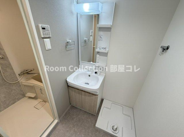 S-RESIDENCE金山flap(フラップ)　の洗面所